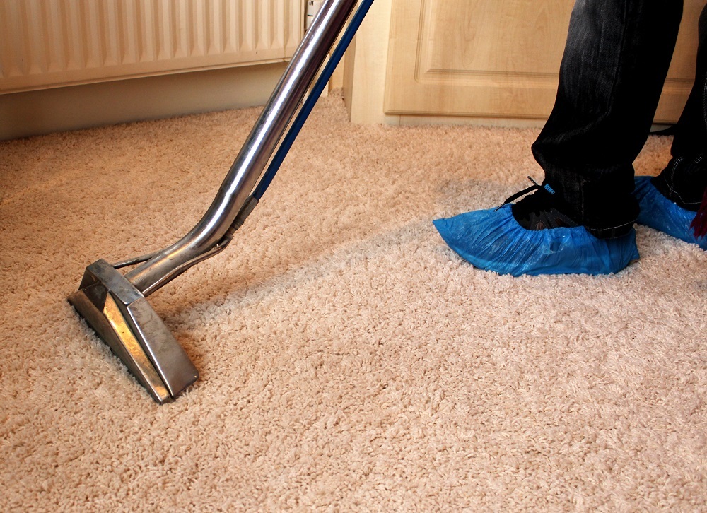Best equipments that make use of the steam for cleaning the carpet