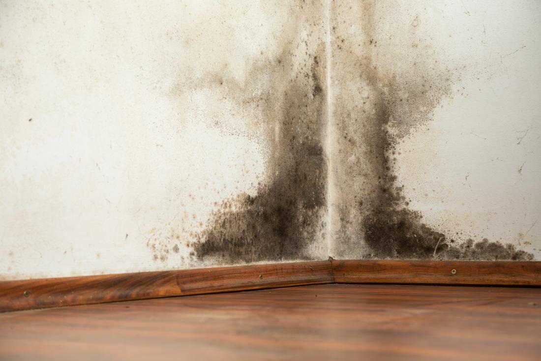How To Inspect For Mold Following Water Damage