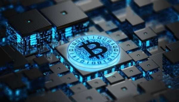 How Bird Migration Patterns Inspire Cross Border Exchange Liquidity Flow