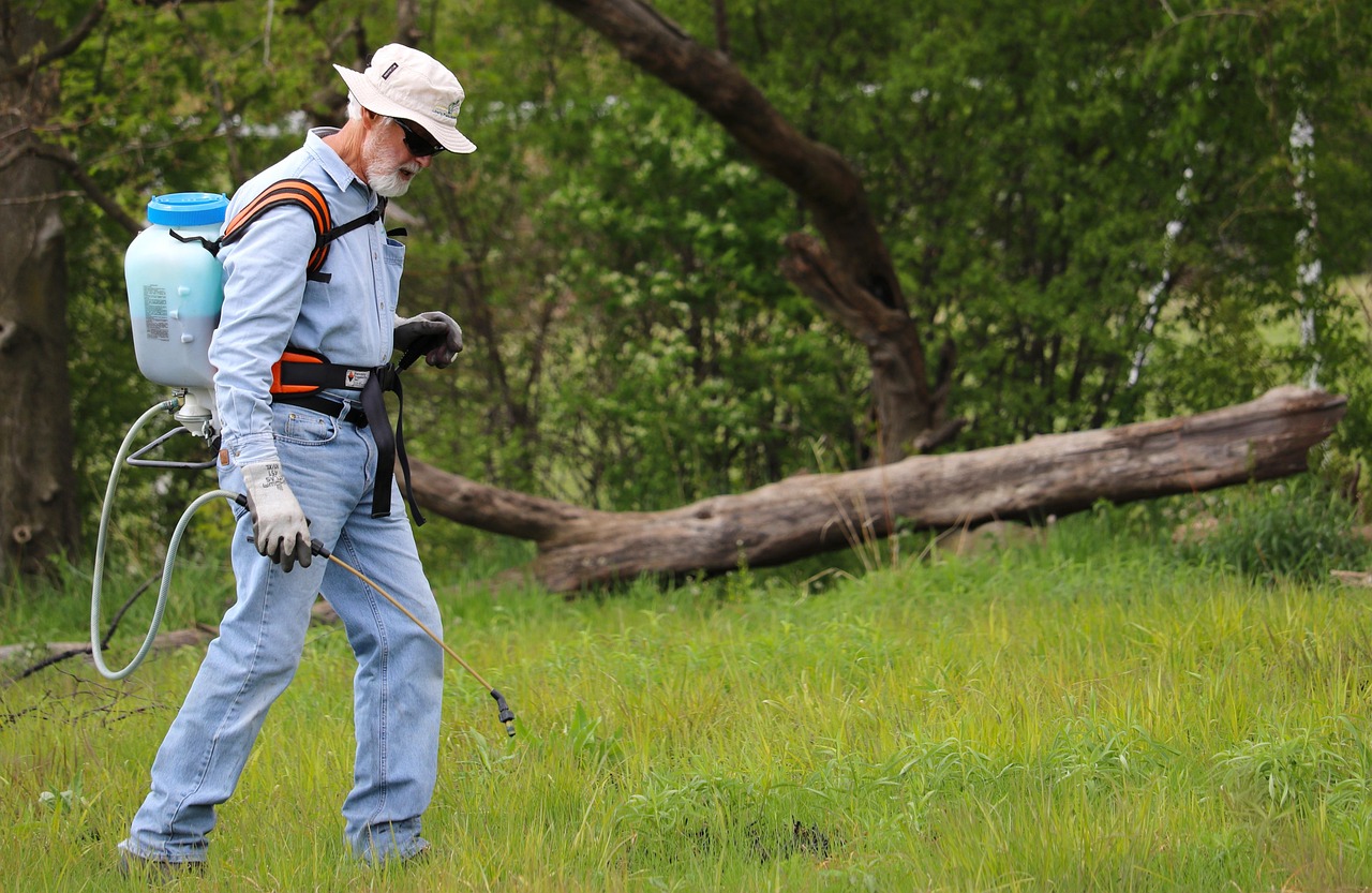 Grass, backpack sprayer, maintenance — Electrician Round Rock: Why Experience and Certification Matter More Than Ever